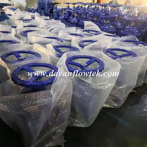 Ductile Iron Ggg40 Flanged Rubber Wedge Non-Rising Stem Water Pn16 Gate Valve Sluice Valve