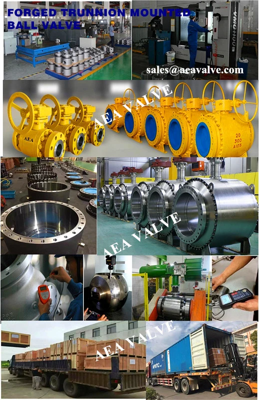 Side Entry Carbon Steel Split Bolted Body Double Block and Bleed Rptfe Nylon Peek Soft Seat Insert Flanged Floating Ball Valve & Trunnion Mounted Ball Valve