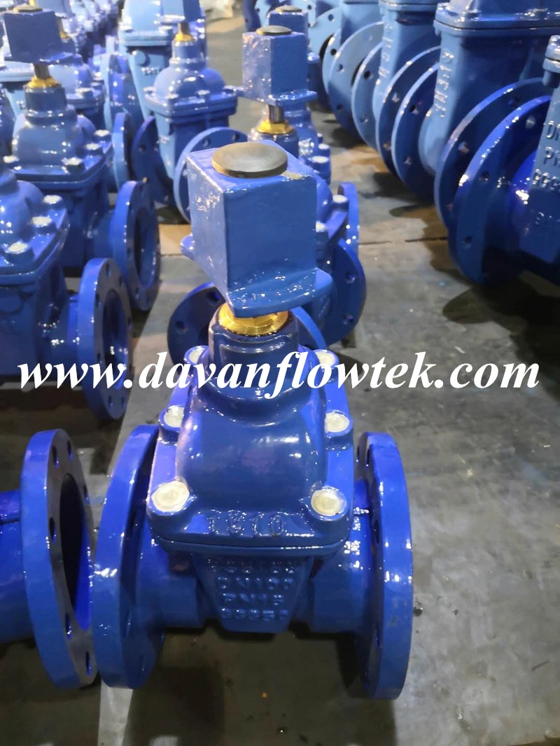 DN50-600 Pn10 Rubber Wedge Resilient Seat Gate Valve DIN F4/F5 Gate Valve China Factory Handwheel Operated Water Gate Valve Flanged Gate Valve