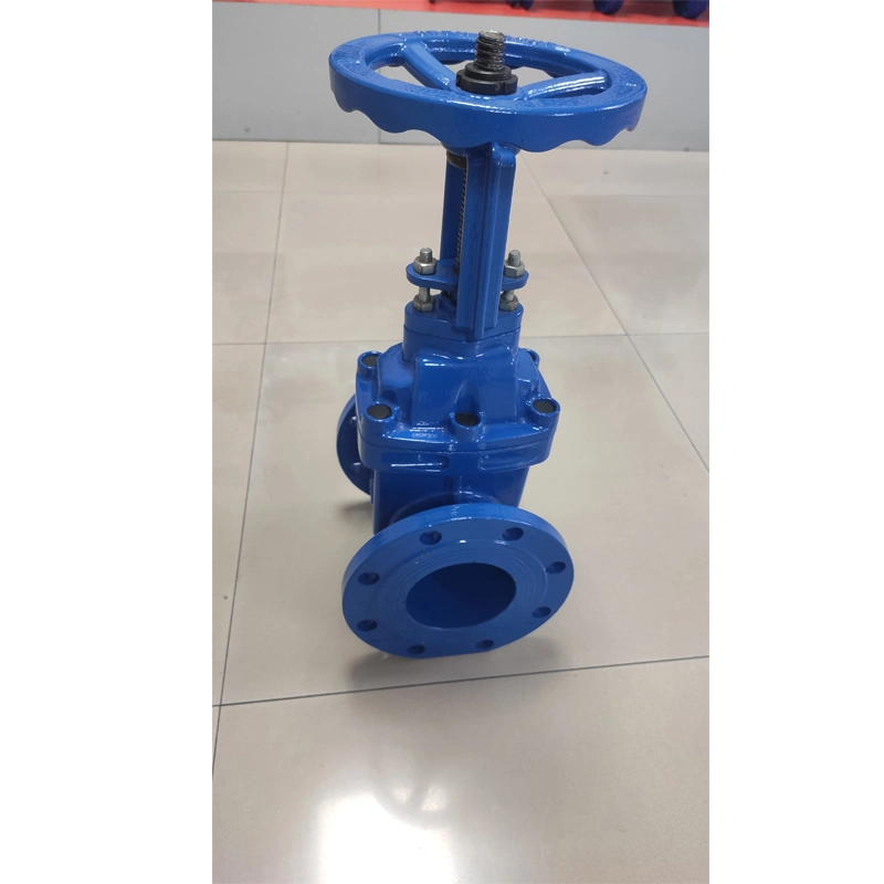 Pn16 Gate Valve Globe Valve Swing Check Valve Stainless Steel Ball Valve Foot Valve Gate Valve