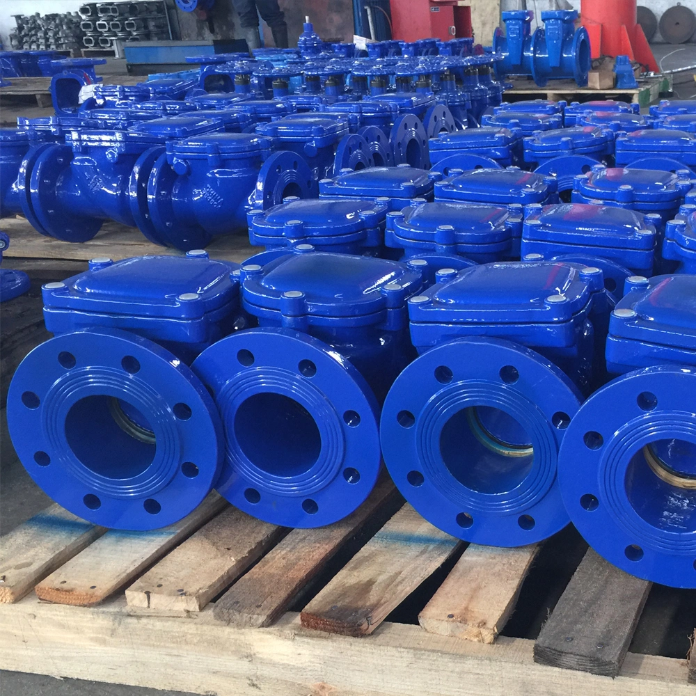 BS Resilient Seat Swing Check Valve Pn16 Swing Check Valve Flanged End Gate Valve Nrv Valve Check Valve