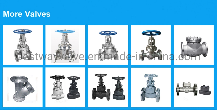 200psi/Pn16 CF8 CF8m Threaded Stainless Steel Gate Valves