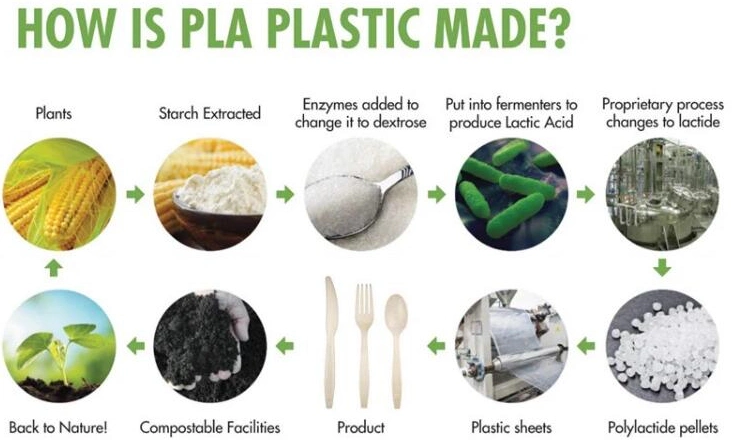 Injection Molding Grade Biodegradable Modified Starch PLA Resin for Tableware