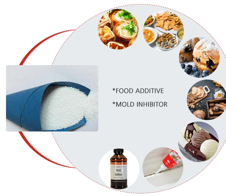 99% Food Grade Sodium Benzoate Food Additive Powder Food Preservatives Sodium Benzoate