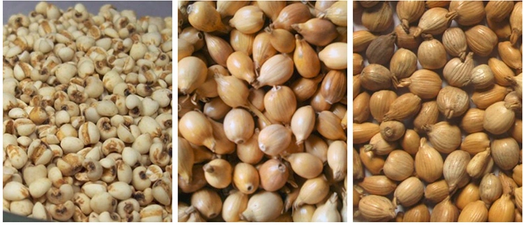 Organic Coix Seed Extract Powder Food Grade Cosmetic Grade