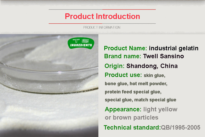 Food Grade Powder Gelatine for Food Industry