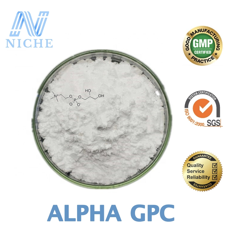 Nootropics Powder Purity 99% Alpha GPC with Free Sample Alpha GPC Powder 28319-77-9