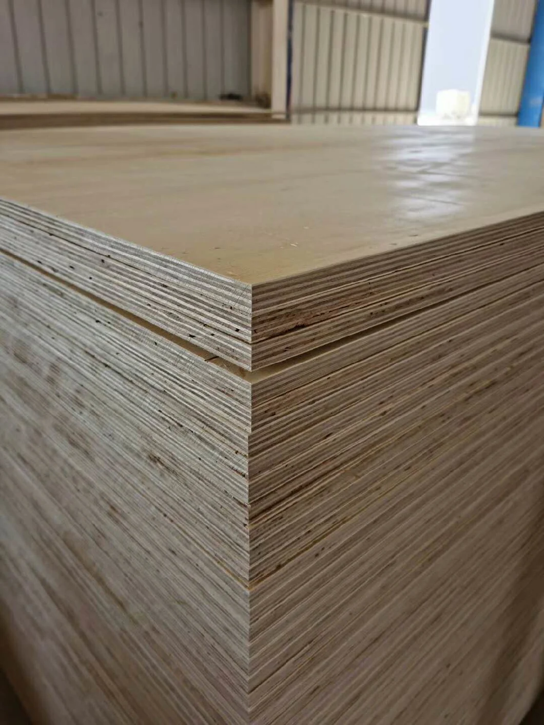 HPL Plywood/ White Color UV Plywood/Melamine Faced Plywood for Home Furniture