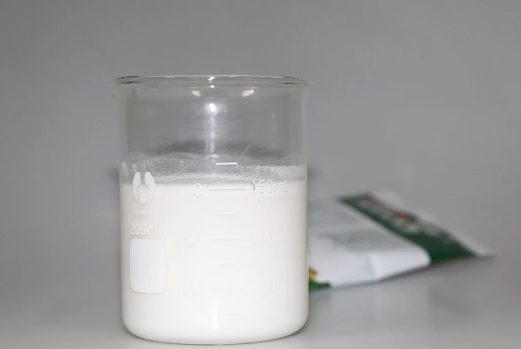 Food Grade Fruit Powder Coconut Milk Powder Baking Powder Ingredient