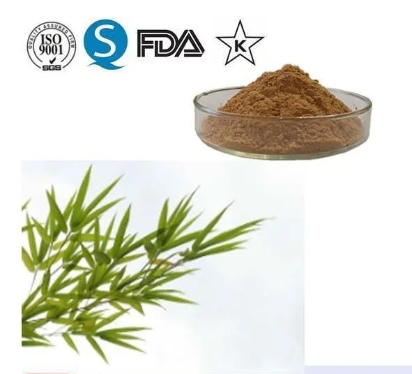 Pure Bamboo Leaf Extract, Bamboo Extract, Organic Powder