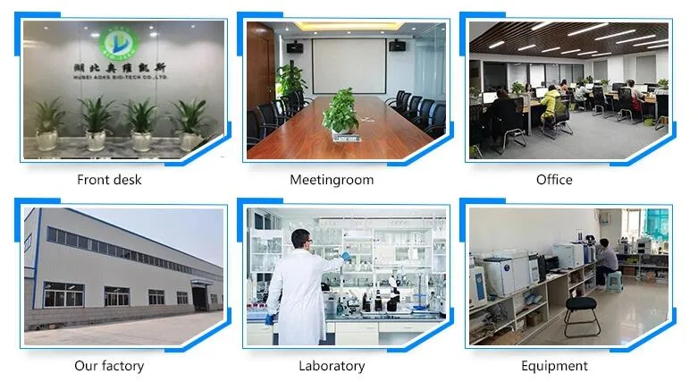 Industrial Grade White Powder Melamine 99.9% for Plywood