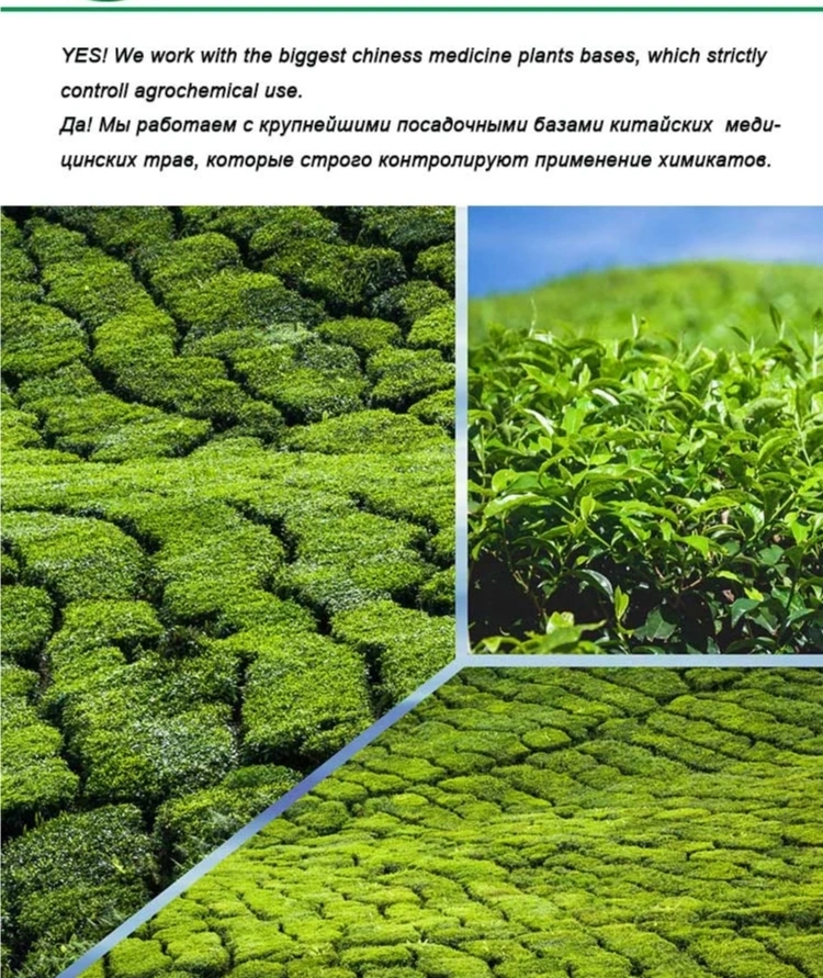 100% Water Soluble Organic Barley Grass Leaf Extract Powder Barley Grass Juice Powder