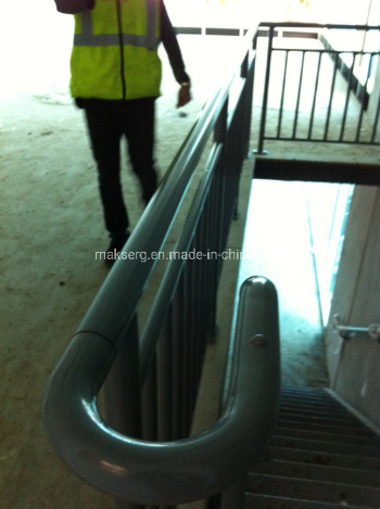 Galvanized Steel Stairs with Handrails