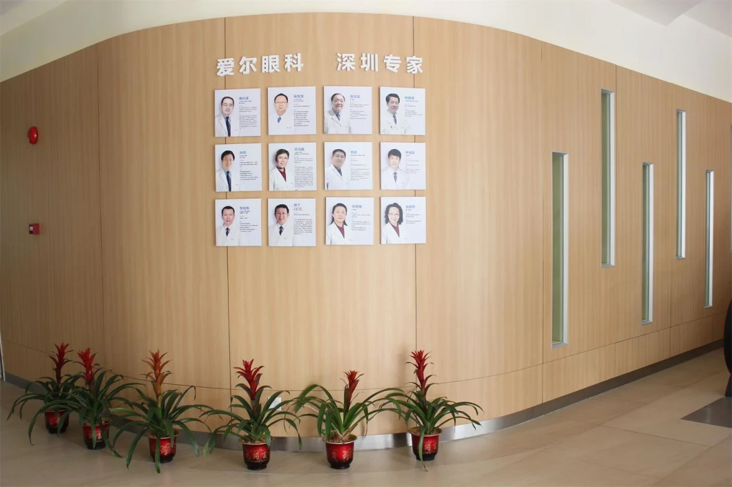 Fumeihua Interior Phenoilc Panel Wall Paneling Apply to Hospital