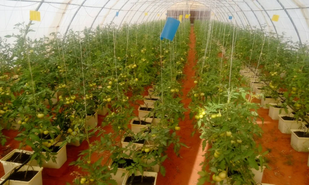 Indoor PP Flower Pots Planter Tomato Cucumber Dutch Bucket