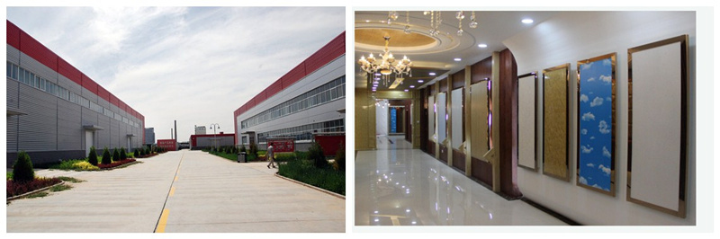 Composite Wall Cladding / Interior WPC Wall Panel / Decorative Wall Siding