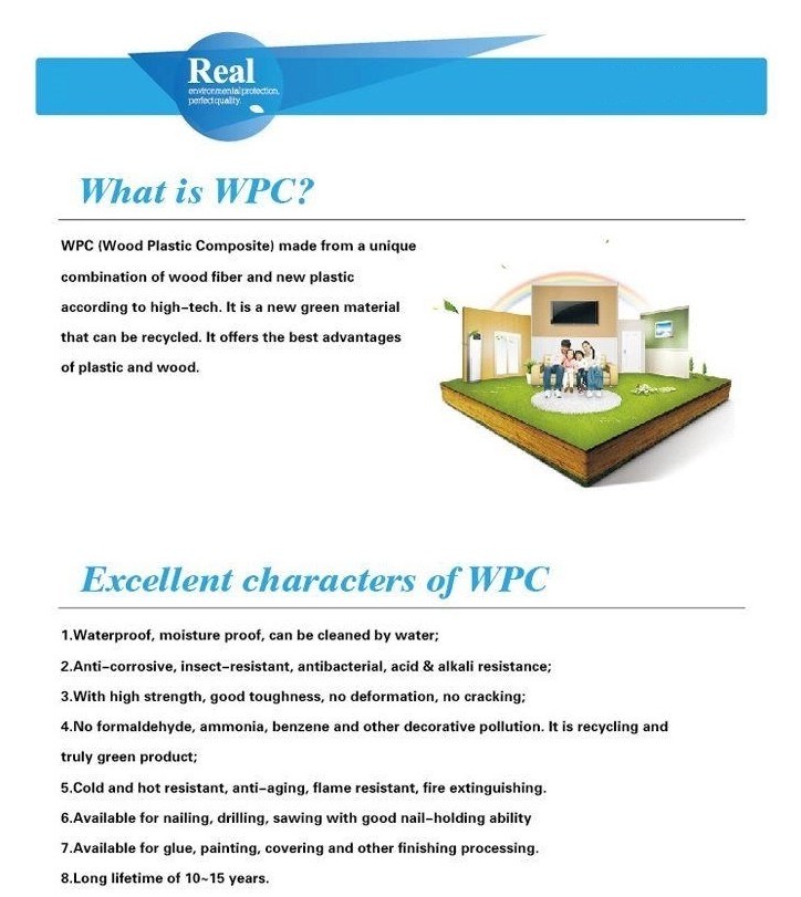 Hot Sales Waterproof WPC Door with Competitive Price