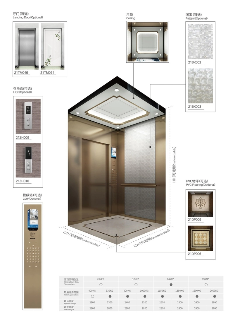 High Quality Luxurious Passenger Elevator with Round Handrails for The Elderly