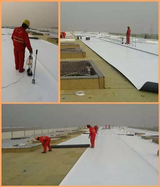 Construction Material PVC Fabric Roofing Waterproofing Membrane/Material