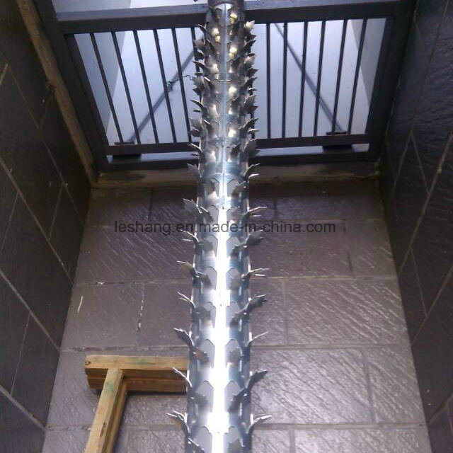 PVC-Coated and Stainless Steel Wall Spikes