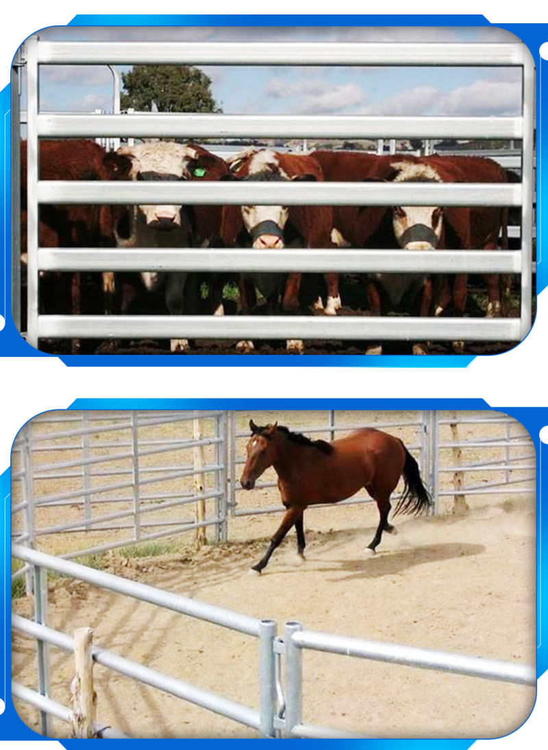 Steel Fence Cattle Fence Panel Horse Corral Fence Panel, Fecing Ranch