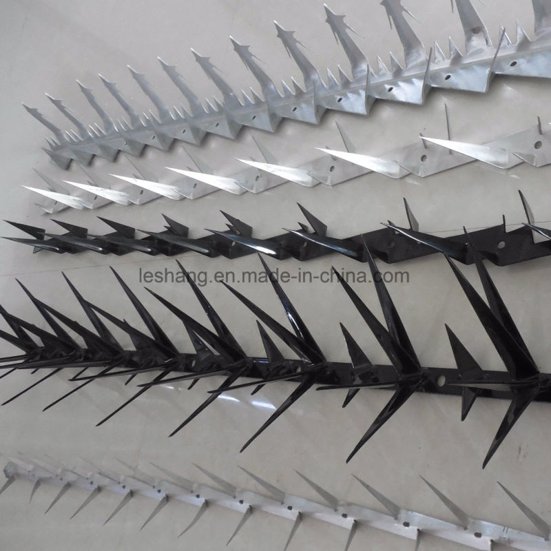 PVC-Coated and Stainless Steel Wall Spikes