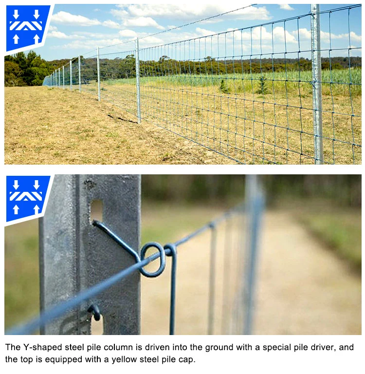 China Fence Post Y Tooth Fence Post for Israel Market