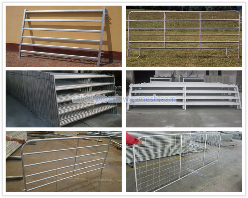 Livestock Panels / Cattle Panels / Horse Panels / Sheep Fence Panels / Corral Panels
