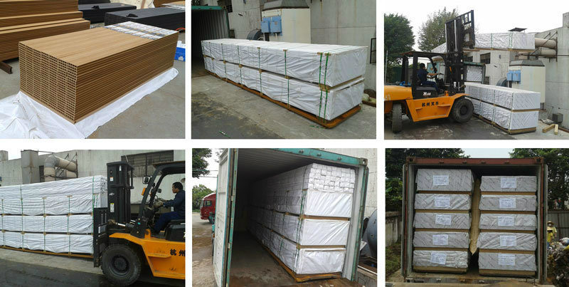 Foshan Factory Custom Fence with Full Trellis WPC Fence Panels