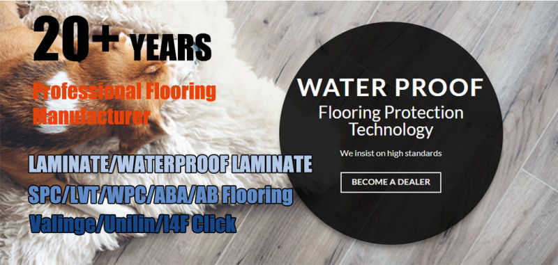 Spc Floor - Eco Option Alternative for Timber Floor