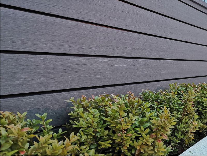 Hot Selling Exterior Co-Extrusion WPC Wall Panel WPC Wall Cladding