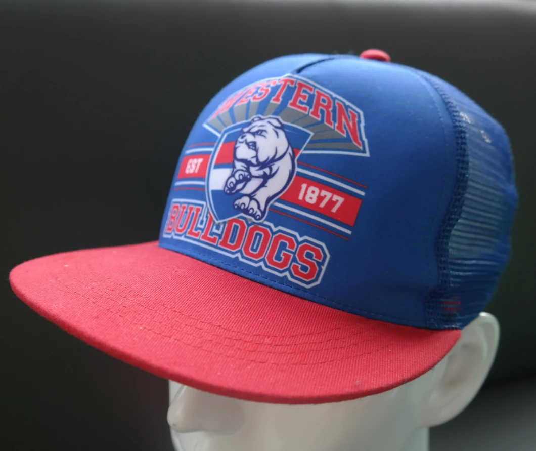 Wholesale Cotton America Presidential Vote Election Custom Logo Fabric Cap Baseball Caps