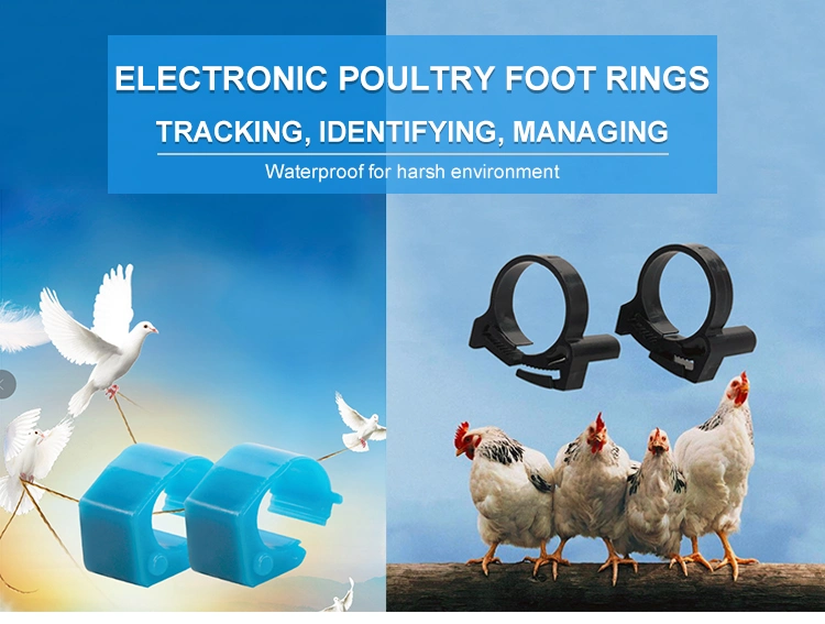 D004 D005 RFID Electronic Foot Ring Series New Arrival Durable Identifying Tracking Electronic Foot Ring