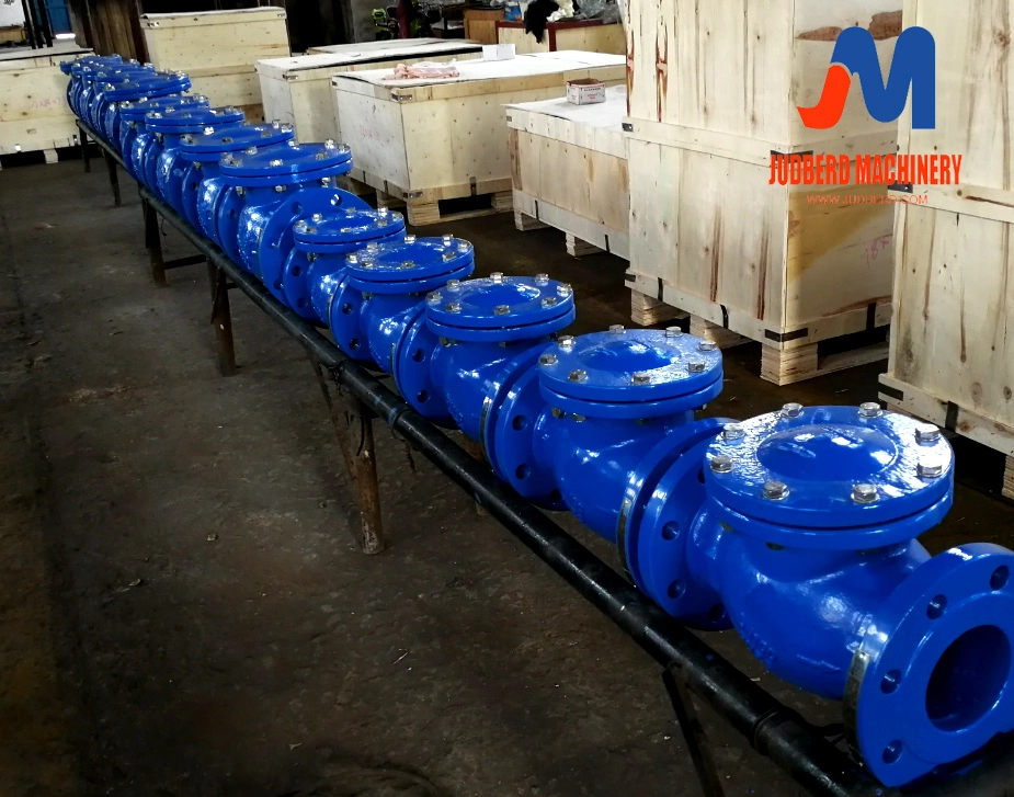 Swing Check Valve/Non-Slam Check Valve /Swing Check Valve with Lever Arm and Weight/Waterworks Valve/Check Flex Valve/Swing-Flex Check Valve/Check Valve