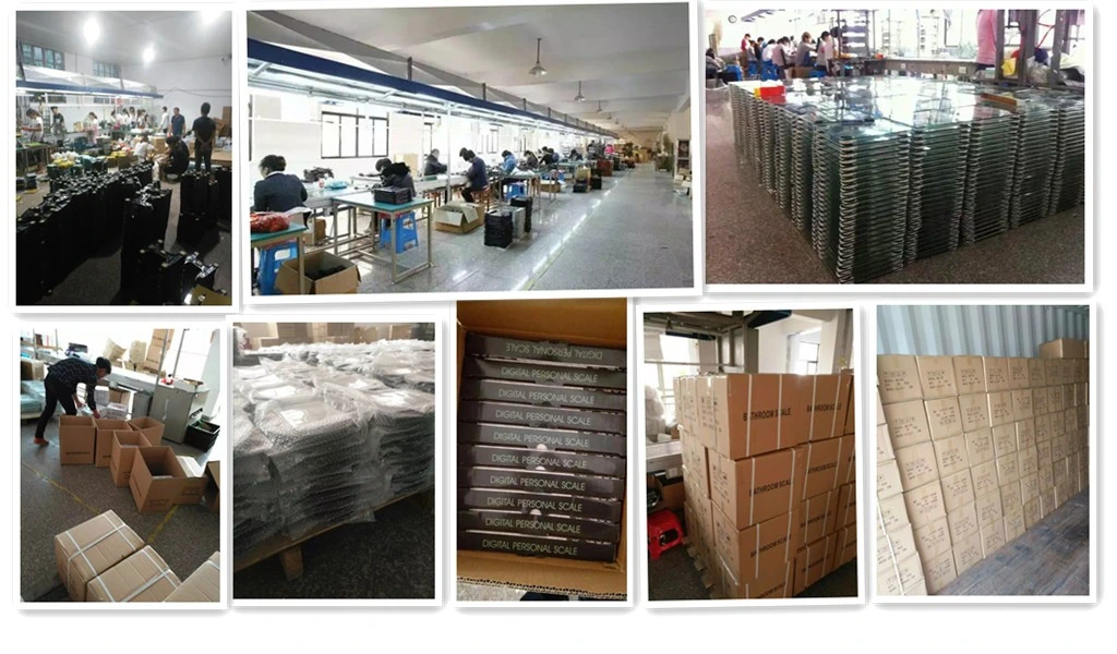 Zzdt-4 Meat Food Fruit Produce Price Electrical Computing Retail Counting Equipment