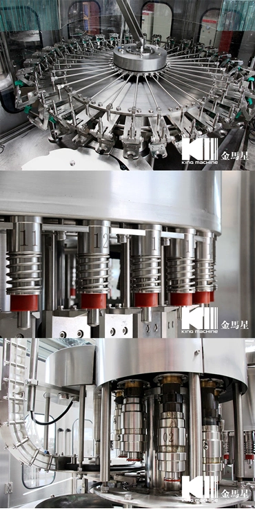 Whole Project Pure Water Filling Packing Machine