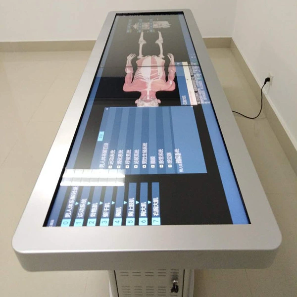 3D Body Virtual Autopsy Table Virtual Anatomy Dissection Table for School