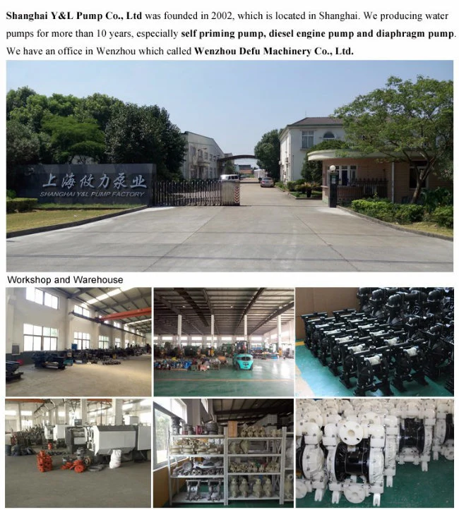 High Flow Planting Solutions Transfer Diaphragm Pump for Electronic Industry