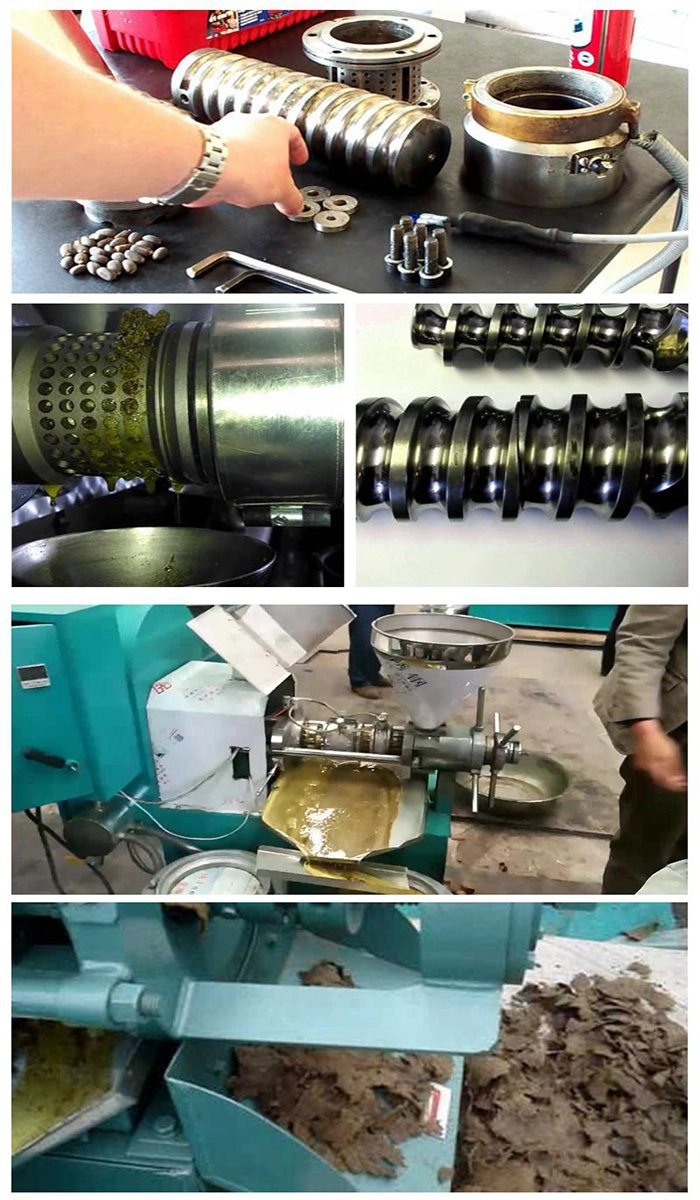 New Technology Avocado Oil Press Machine/Olive Oil Squeezing Machine/Edible Oil Press Machine