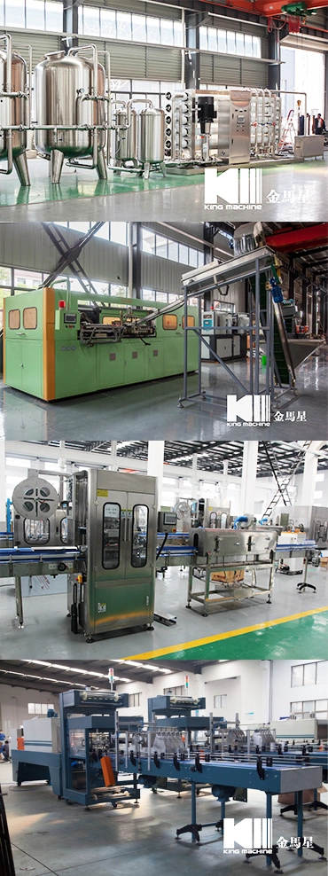 Whole Project Pure Water Filling Packing Machine