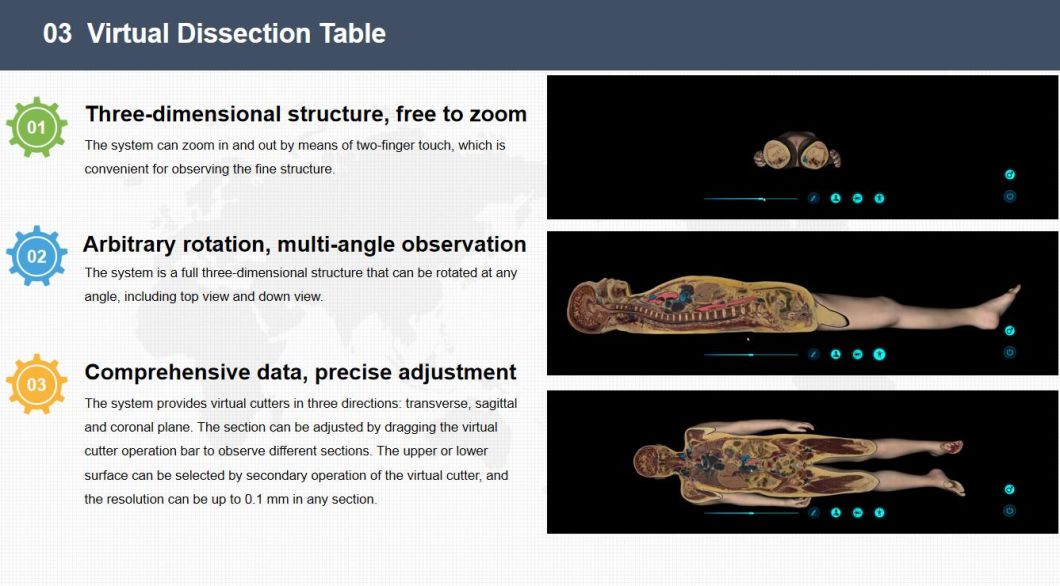 3D Body Virtual Autopsy Table Anatomage Virtual Anatomy Dissection Table