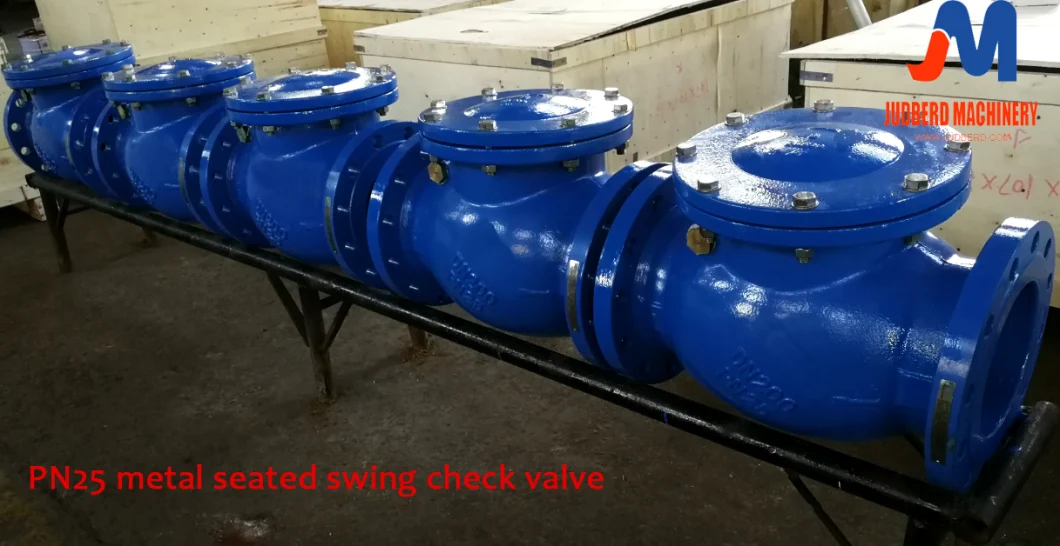 Swing Check Valve/Non-Slam Check Valve /Swing Check Valve with Lever Arm and Weight/Waterworks Valve/Check Flex Valve/Swing-Flex Check Valve/Check Valve