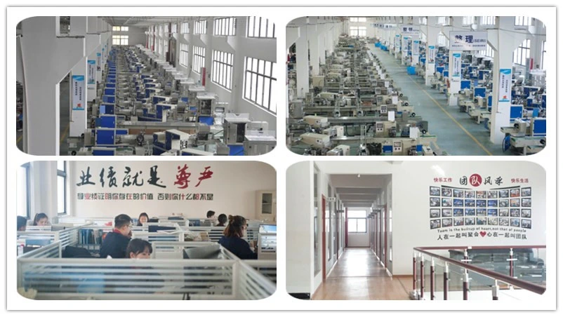 Single Line Disposable Cup Automatic Counting Packing Machine