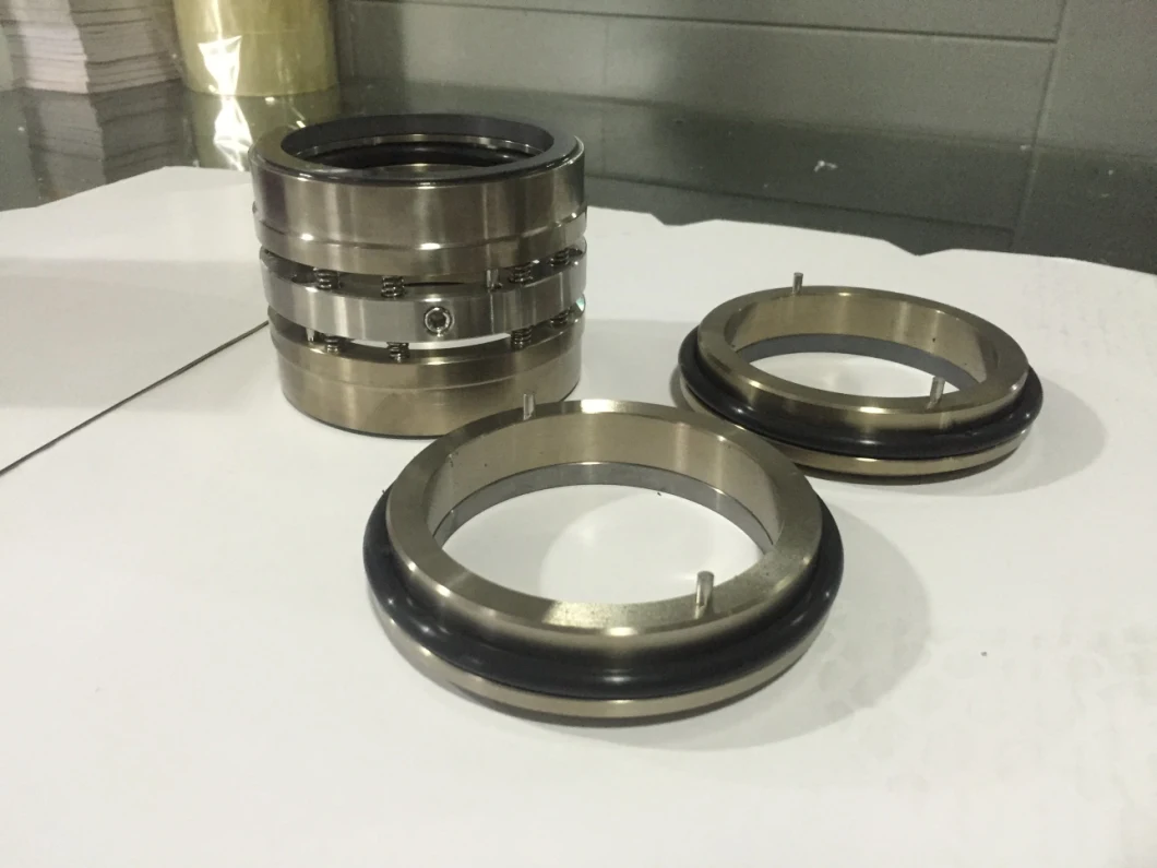 Double Multi Spring Seal, Machined Pump Seal, Titanium Mechanical Seal