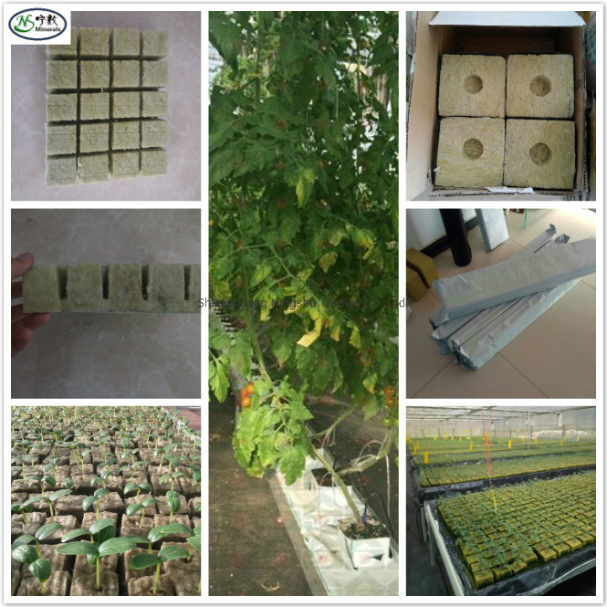 Rock Wool Cubes Glass Wool Mineral Wool for Soil Propagation Mediums