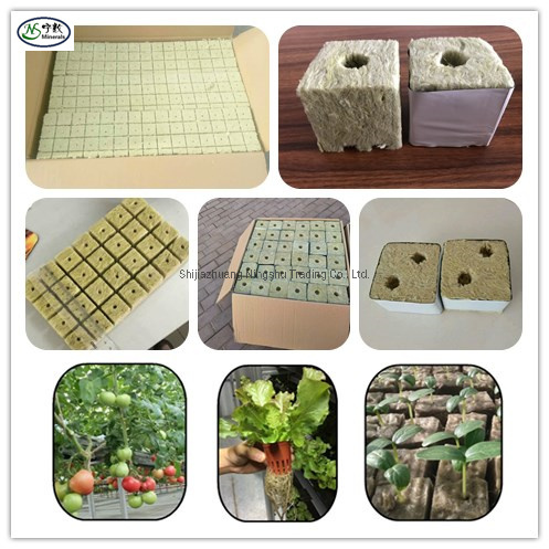Rock Wool Cubes Glass Wool Mineral Wool for Soil Propagation Mediums