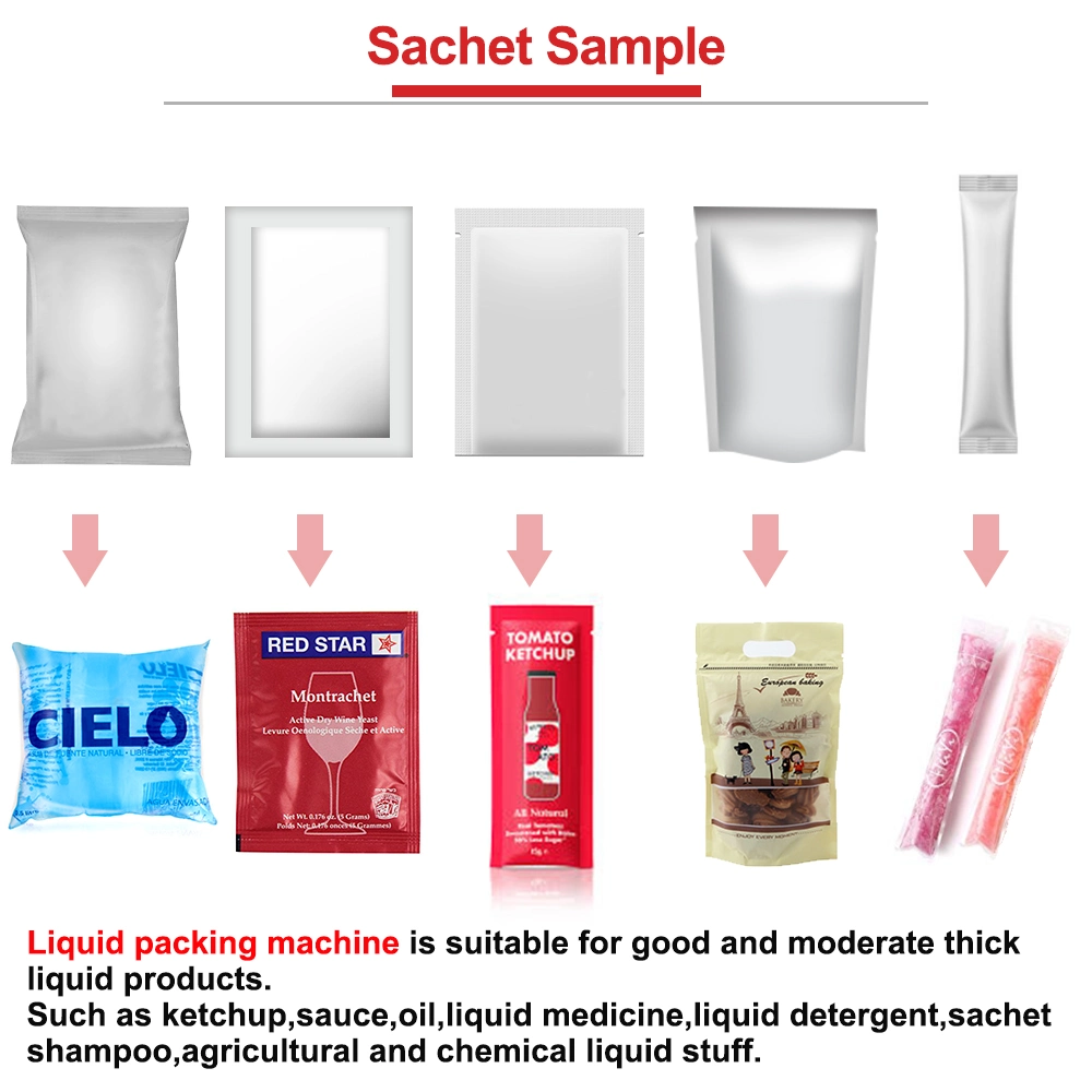 Bg 3 Side Seal/4 Side Seal/Sachet Nice Appearance Liquid Packaging Bagging Machine for Caesar