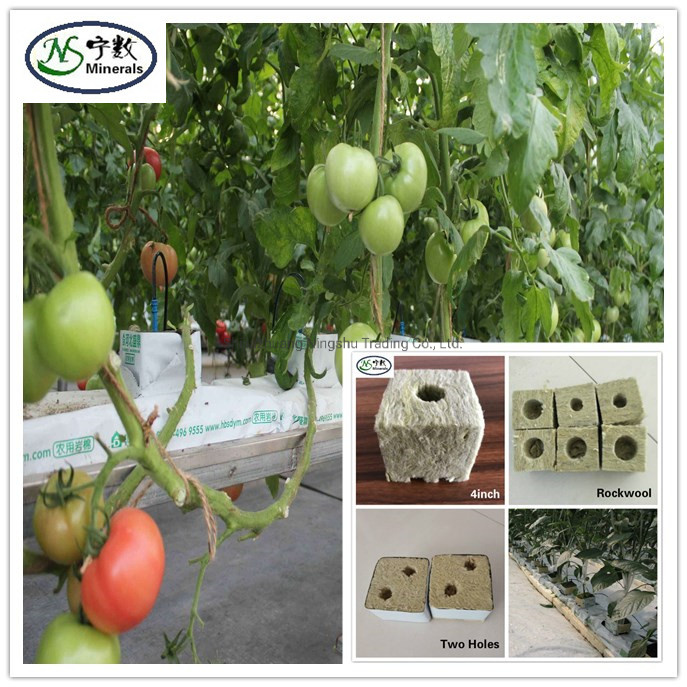 Rock Wool Cubes Glass Wool Mineral Wool for Soil Propagation Mediums