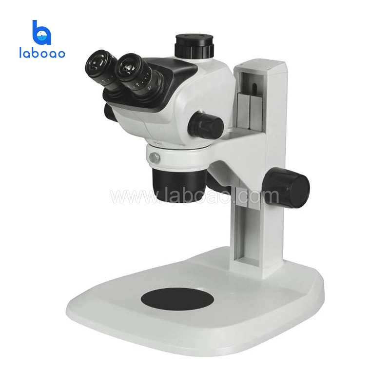 Continuously Zoom Lens Lab Optical Stereo Microscope for Scientific Study