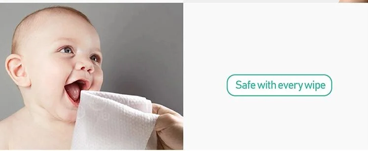 Wholesale Biodegradable Soft Wet Baby Wipes Towel Wet Wipes Baby Flip Top Cap